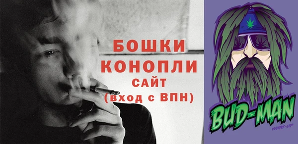 mix Белокуриха