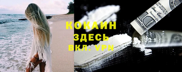 mix Белокуриха
