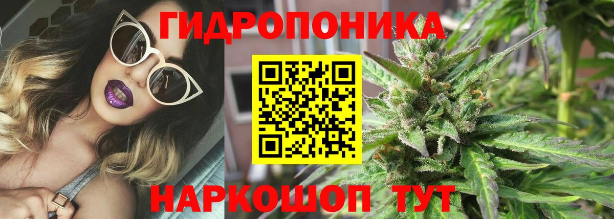 Бошки марихуана Amnesia Валуйки